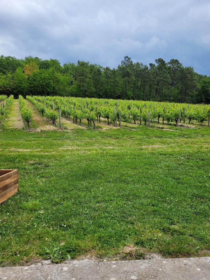 Bed and Breakfast A L'Ombre De La Treille -Proche Saint-Emilion Екстер'єр фото