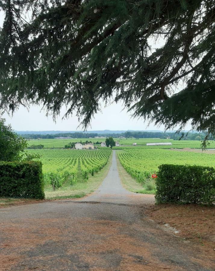 Bed and Breakfast A L'Ombre De La Treille -Proche Saint-Emilion Екстер'єр фото